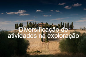 diversificação_de_atividades_na_exploração
